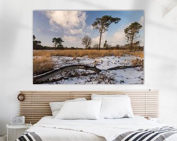 Winters landschap in Drenthe van Harry Kors