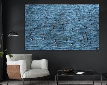 A Flock of waterbirds van Brian Morgan