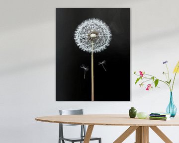 Paardenbloem