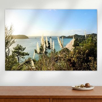 Vue pendant la marche vers Cathedral Cove sur Nicolette Suijkerbuijk