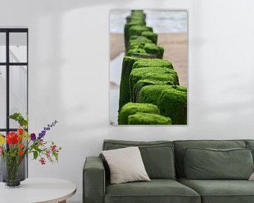 Strandpfähle an der Küste von Zeeland von Nicolette Suijkerbuijk Fotografie