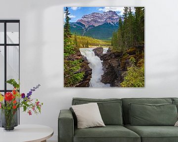 Athabasca waterval in Jasper N.P, Alberta