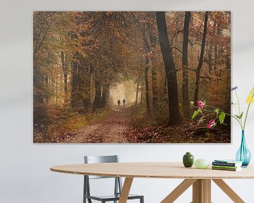 Autumn atmosphere in the Speulder forest by John Leeninga
