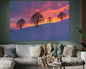 Sprookjesachtig landschap in de winter