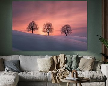 Sprookjesachtig landschap in de winter