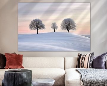 Sprookjesachtig landschap in de winter