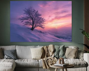 Sprookjesachtig landschap in de winter