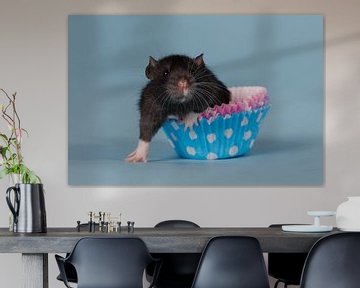 Schwarze Baby-Ratte in einer blauen Muffinform von Dagmar Hijmans