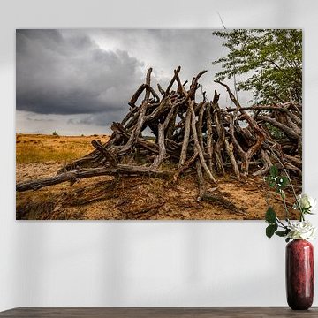 Nationalpark Hoge Veluwe