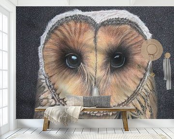 Uil in pastel van Sissi Waasdorp