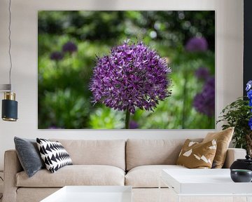 Fleur violette sur Renate Weekhout