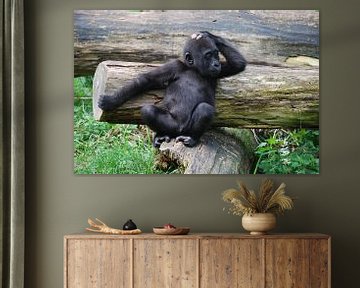 Baby Gorilla van Victor Belou