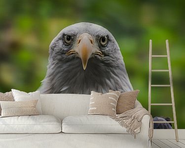 Raumvorschau