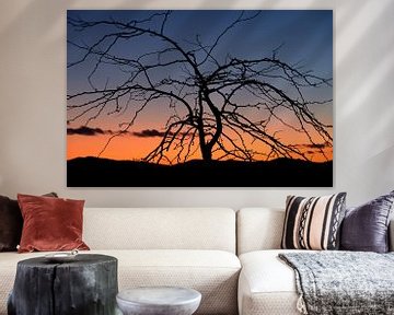 Tree at sunset by Truus Nijland