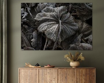 Wall decoration of a brown frozen leaf on the ground by Kristof Leffelaer