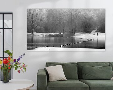 IJskoud gespiegeld by Willem Melssen