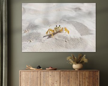 Camouflaged crab on the sand by Joanne Blokland