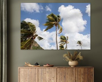 Palm trees dancing in the wind by Joanne Blokland