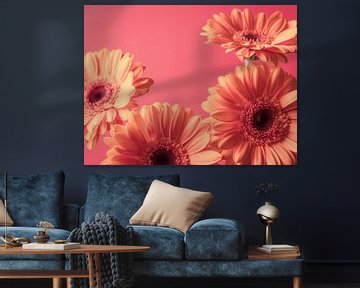 Gerberas orange pastel sur fond rose vintage - photographie de nature et de voyage -. sur Christa Stroo photography