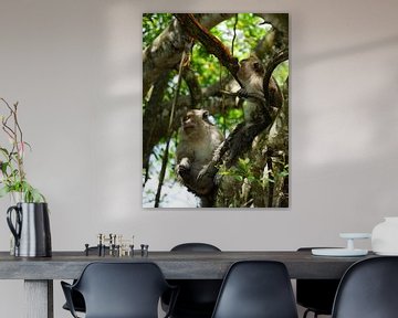 Deux macaques lions dans un arbre. sur Sharon Steen Redeker