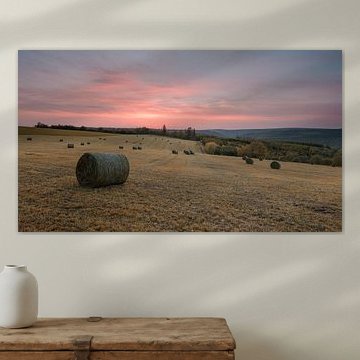 Bottes de foin dans la région Eiffel - Allemagne