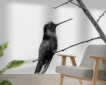 Black-and-white songbird - Elegant Simplicity by Femke Ketelaar