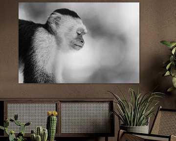Reflexion der Stille - Der Affe in Gedanken von Femke Ketelaar