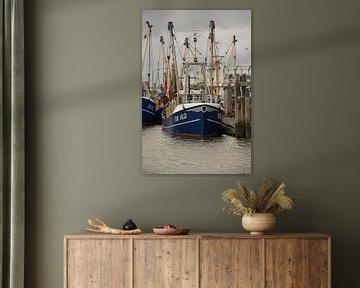 Bateaux de pêche dans le port de Lauwersoog sur scheepskijkerhavenfotografie