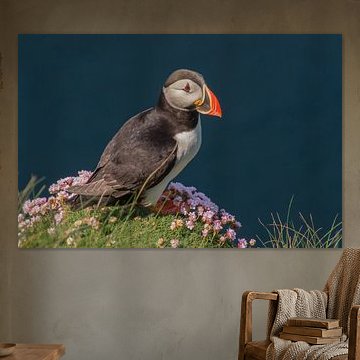 A puffin on a flower-covered cliff by Jasper Los