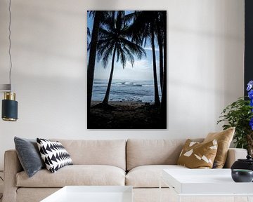 Secrets of the Awakening- Tropical beach oasis by Femke Ketelaar