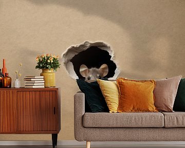 Curiosity in Cardboard - Playful Mouse Hide and Seek by Eva Lee