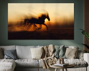 Paarden van fernlichtsicht