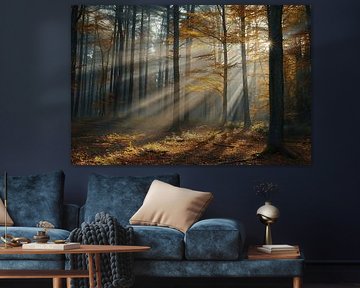 Magisches Licht im Wald