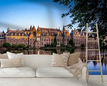 The Hague Binnenhof. by Timo  Kester