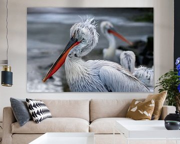 Two pelicans in winter by Chihong