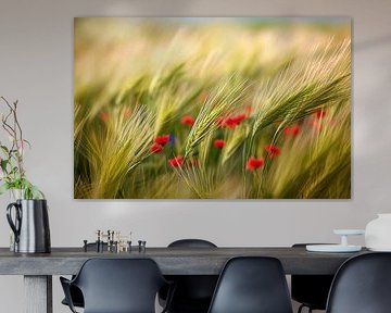 Veld met wilde bloemen