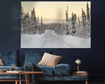 Winter landschap Finland von Menno Schaefer