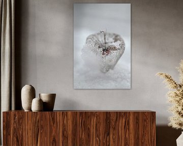 Au cœur de l'hiver
