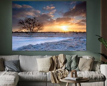 Winterlicher Sonnenaufgang auf dem Balloerveld von Marc van der Duin