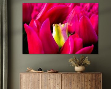 Red tulips with only standing yellow tulip by Léonie's Art Gallery