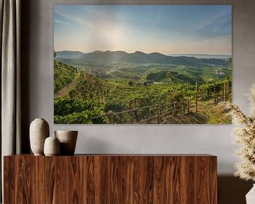 Prosecco Hills, wijngaarden panorama in de ochtend. Italië