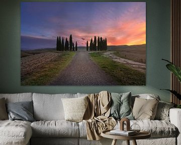 Le cercle de cyprès du Val d'Orcia. Toscane sur Stefano Orazzini