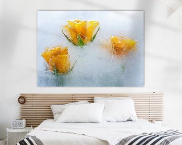 yellow roses in ice 2 by Peter Smeekens