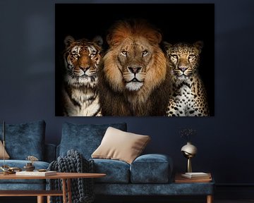 Lion, tiger, leopard