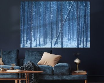 Forest frost van Olha Rohulya