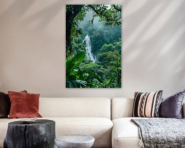 Waterval in het regenwoud van fernlichtsicht
