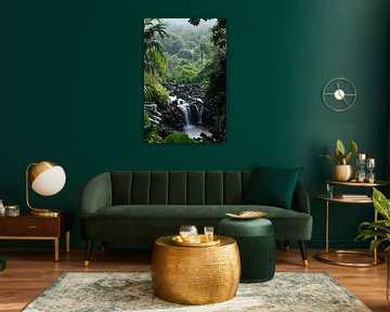 Waterfall in the rainforest