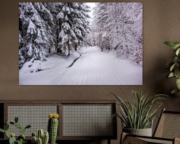 Langlaufen in het besneeuwde Thüringer Woud bij Floh-Seligenthal - Thüringen - Duitsland van Oliver Hlavaty