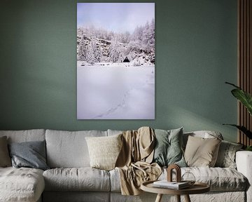 Tour de ski de fond par un temps impérial dans la forêt enneigée de Thuringe près de Floh-Seligenthal - Thuringe - Allemagne sur Oliver Hlavaty