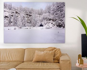 Tour de ski de fond par un temps impérial dans la forêt enneigée de Thuringe près de Floh-Seligenthal - Thuringe - Allemagne sur Oliver Hlavaty